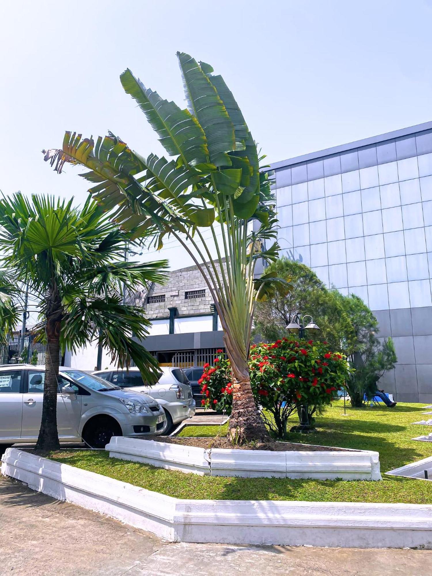Hotel Vallée Des Princes Douala Exterior foto